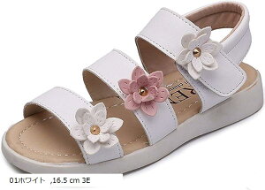 ₷ LbYT_ ̎q r[`T_ t[`[t K[Y V[Y 炩 q 16.5cm(01zCg, 16.5 cm 3E)