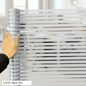 ptB ډBV[g KXtB vCoV[ی tB Iy KXUh~V[g fMtB UVJbg \蒼\(1/2TW, 60cmx5m)