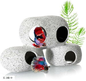 yyVLO1ʓ܁zANAE   IuWF  B I[ig u _J Mы  3  ( 3 )