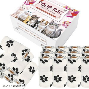 񂿂LȂ ɂȂ Lp E` ybgp L  ^ (zCg300^)