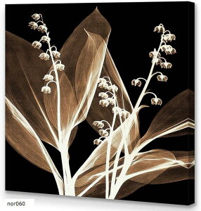 アートパネル 植物 ボタニカル W60cm H60cm アートフレーム 絵画 ギャラリーラップ仕上げ キャンバス 額付き ウォールアート ポップアート モダンアート 壁掛け インテリア 装飾 (nor060)