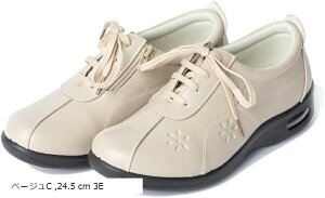 EH[LOV[Y fB[X RtH[gV[Y U[ 3E [XAbvV[Y t@Xi[t b L  GA[NbV y E ł V[Y(x[W