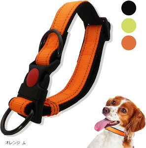 _uO ^ ^ Oɂ _炩pbh _ubN v iC L IW (IW, L)