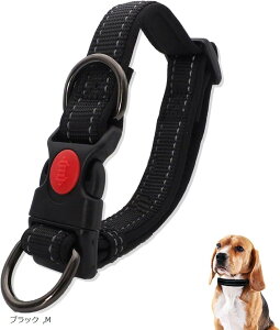 _uO ^ ^ Oɂ _炩pbh _ubN v iC M ubN (ubN, M)