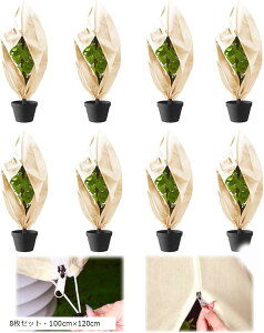 h h~ AیJo[ sDz Wbp[t ~   ۉV[g hlbg 8ZbgE100cmx120cm (8ZbgE100cmx120cm)