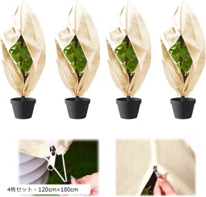 h h~ AیJo[ sDz Wbp[t ~   ۉV[g hlbg 4ZbgE120cmx180cm (4ZbgE120cmx180cm)