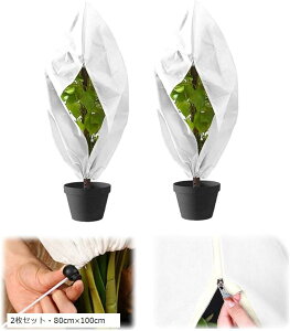 AیJo[ h h~ sDz Wbp[t ~  ۉV[g hlbg 2ZbgE80cmx100cm (2ZbgE80cmx100cm)