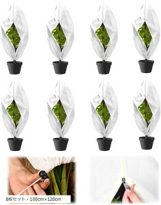 AیJo[ h h~ sDz Wbp[t ~  ۉV[g hlbg 8ZbgE100cmx120cm (8ZbgE100cmx120cm)