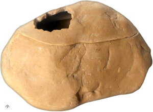 yyVLO1ʓ܁z wr VF^[ B bNVF^[ eE  nEX IuWF    ()