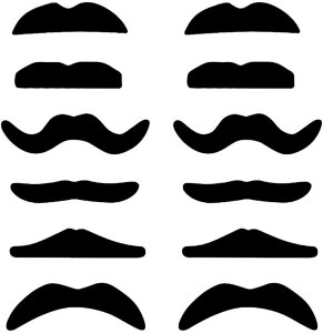 tE RXv qQ qQ Zbg Ђ C nEB p[eB[ tFg ѕE 12g (ubN, Free Size)