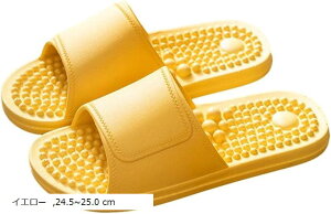  Xbp ~ T_ 􂦂 jp R hL K x_ V[ ʋC [ jZbNX C gC c{  (CG[, 24.5`25.0 cm)