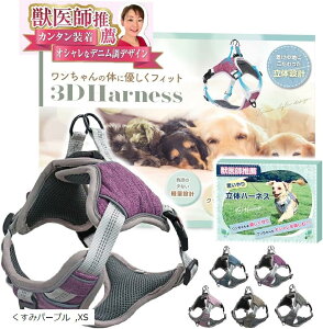 yyVLO1ʓ܁z n[lX 2XebvŊȒPE₨ւ̕Sy Ԕˍ TCY߉\ ^ ^ ^ ݃p[v XS (݃p[v, XS)