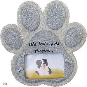  ybgp A ObY  tHg ʐ^  O  { d v[g Xg[ LO  p (O[, p)