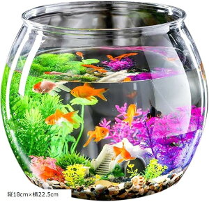 yyVLO1ʓ܁z AN  _J  ANAE  琅 @ rIg[v e  ~` eE (, c18cmx22.5cm)