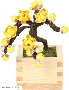 荗aƂЂ̂gp ~ bonsai lHϗtA  a ap 12cm 02. X~ 낤΂