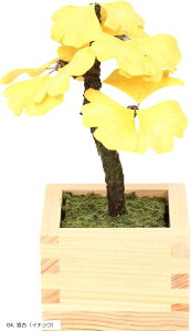 荗aƂЂ̂gp ~ bonsai lHϗtA  tFCNO[ a ap CeA 12cm 04.  C`E