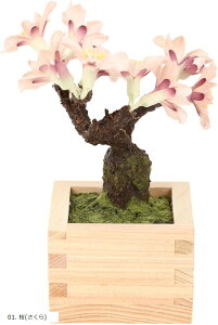 荗aƂЂ̂gp ~ bonsai lHϗtA  tFCNO[ a ap CeA 12cm 01.  
