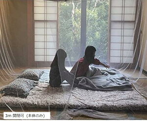 ᒠ  傫 LO TCY Lv AEghA xr[ Jf h ΍ J {̂̂ 3m (zCg, 3m)