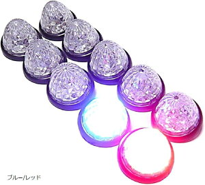 ݊i JX^}CY gbNp TCh }[J[ 16LED 24V W v ėp 10 Zbg u[/bh (u[/bh)