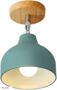 KY LEE Vv  ؐ V[OCg Ɩ rO Lb` ԐڏƖ k px\ 1  VƖ ȒPt(CIL-0059)