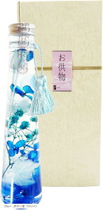  n[oE NAO͂Ȃ vU[uht[ { CeA (u[, ~^ic[j)