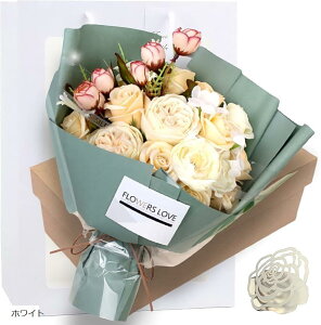 \[vt[ LO ޏ KN ԑ Mtg  bZ[WJ[h VbvobOt zCg (zCg)