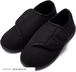  Xbp ChA V[Y  Xb| @ nr Vv jp C (ubN, 25.0`25.5 cm)