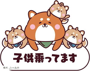  XebJ[ LbYCJ[ J[XebJ[ Č xr[CJ[ V[  (zCg, V[)