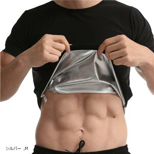 TEiVc TEitVc Y TEiX[c Vc  Ci[ g[jO (Vo[, M)