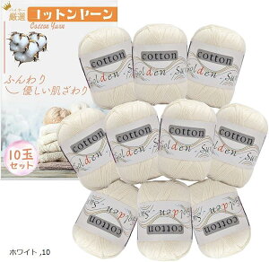 Rbg[  ю 50g 120m 10ʃZbg j҂ ҂ݕ (zCg)