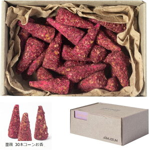 ґȍ̖  R[30{ RĎԖ20 ĂȂ Mtg ig  p[eB[ Cxg A}es[ Xp K ґz (KN 30{R[, Medium)