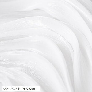 wiz Bep p[  iBe ʐ^ ϕi WG[   (VA[zCg, 75x100cm)