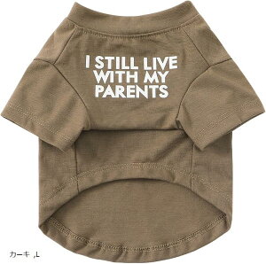  tďH~ ̕ ybg L   hbOEFA m ʋC Lk (J[L, L)