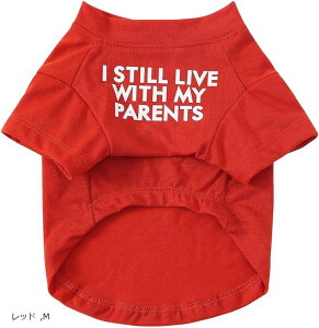  tďH~ ̕ ybg L   hbOEFA m ʋC Lk (bh, M)