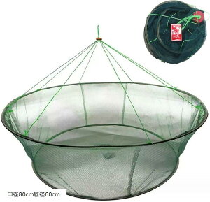   d|  p lbg ߊl  ނ ܂݉\ a80cma60cm (a80cma60cm)