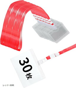 l[z_[ DP[X Dz_[ 񉺂 | Nbv Xgbv vX`bN NA  (bh-30)