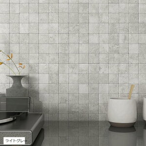 嗝Β ^CV[ h ϔM Lb` ` \t ^CV[g Lb`pl ʏ gC  CgO[ 5 (CgO[, 260x260mm)