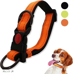 _uO ^ ^ Oɂ _炩pbh _ubN v iC M IW (IW, M)