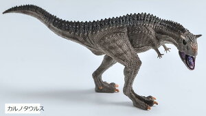  tBMA A ͌^ WI 30cm ঒  H qߋ v[g fBXvC Jm^EX