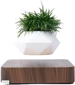 ɕ~ v^[ ϗtA C A  Ebh ؖ CeA uE (uE, )