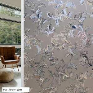 ptB ډBV[g KXtB vCoV[ی tB Iy KXUh~V[g fMtB UVJbg \蒼\(FW, 40cmx10m)