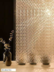 ptB ډBV[g KXtB vCoV[ی tB Iy KXUh~V[g fMtB UVJbg \蒼\(ZS, 60cmx5m)