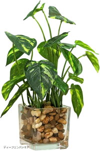 CeAptFCNO[ Ύ  ϗtA fB[tFobLA (O[, )