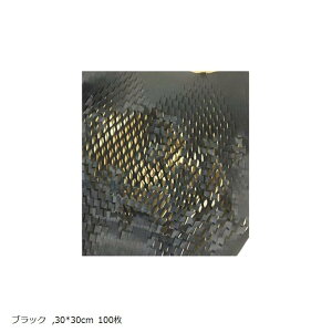 щbsO ɏՍ njJ NbVy[p[ H퍫 z DY-10 31x31cm 100(ubN, 31x31cm 100)