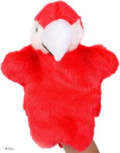 pybg nhpybg ʂ bp l` ܐl` Aj}pybg IE (IE, S25cm)