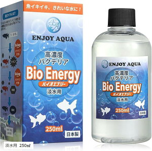 yyVLO1ʓ܁zCLCL ꂢȐɁB ZxoNeA oCIGiW[ Wp ɉ {  _J Mы W  250?(, Wp 250?)