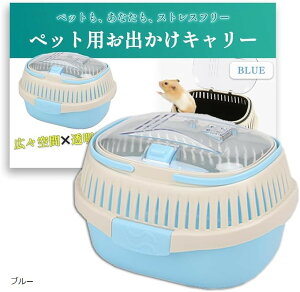  L[ P[X o P[W ړp nX^[ tFbg CR IJ ZLZC  ʉ@ (u[, Small)