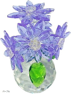 K9NX^ NX^t[ p[v @̉ nX av[g LOv[g o^Cf[ u CeA KX (p[v)