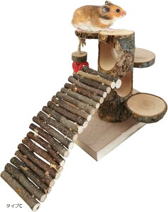 nX^[  肫 VRؐ fO[ bg I` V XgX ^CvC (i`, ^CvC)