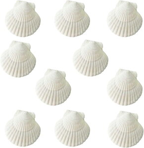 z^e Lk 10Zbg VFp[c z^eKC } f Ntg H DIY  IuWF v[g